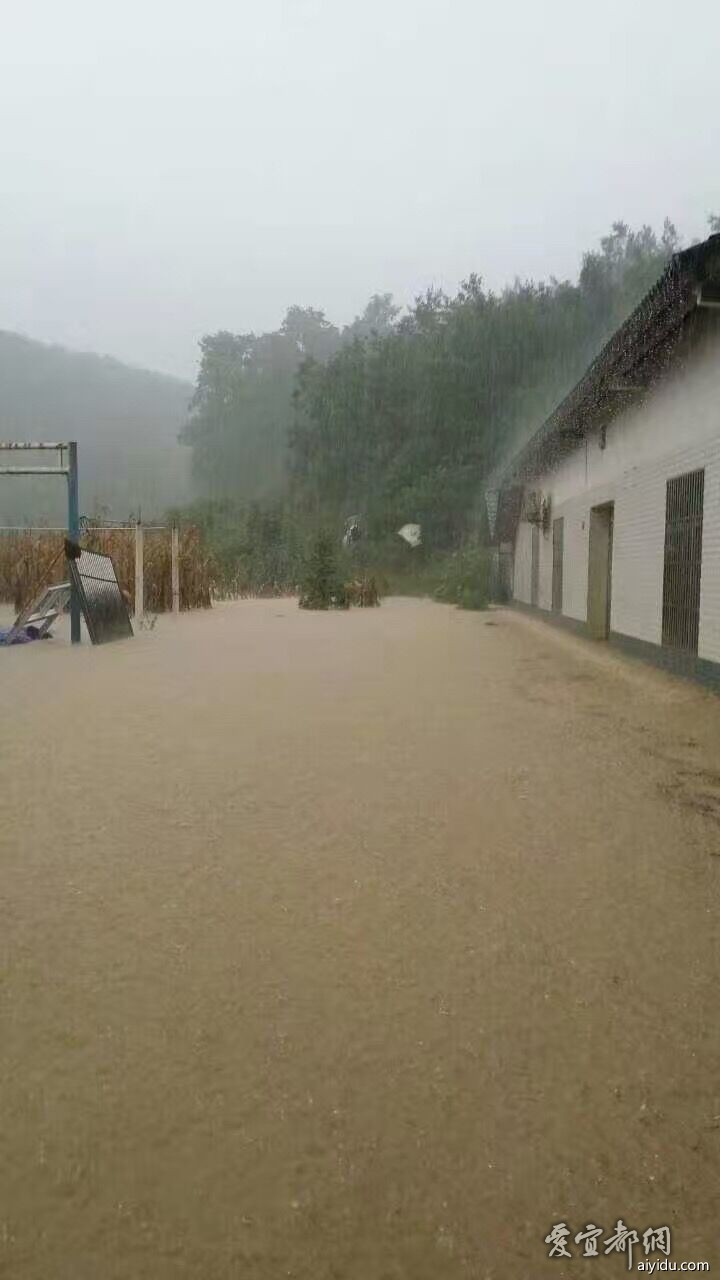 宜都市松木坪镇观音桥村的雨下的太大了