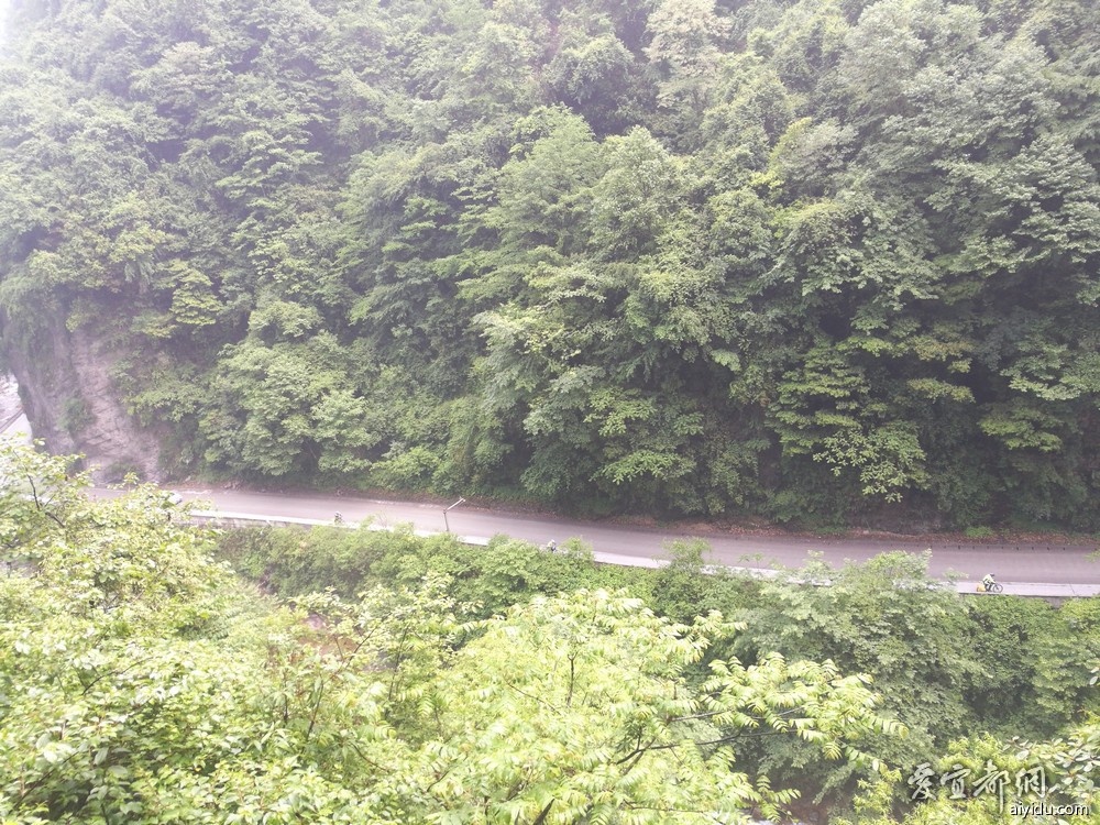 photo_20180517_083816.jpg