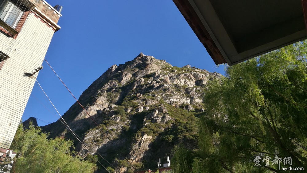 IMG_20180519_073013.jpg