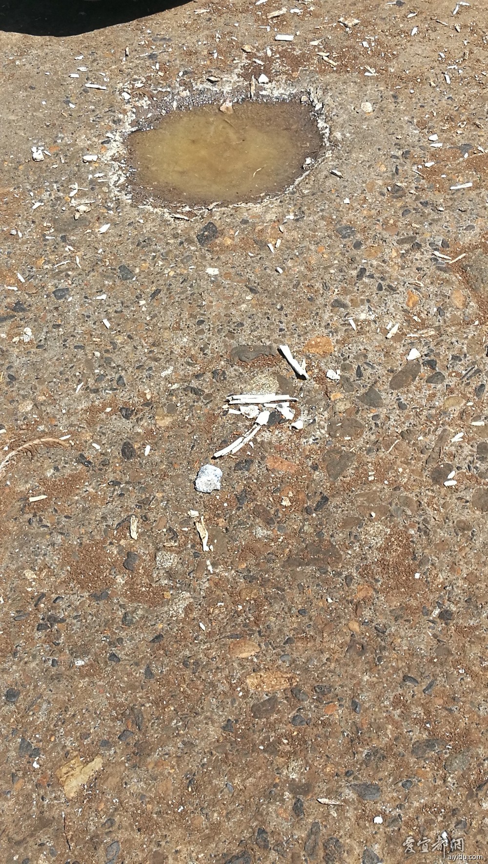IMG_20180521_111814.jpg